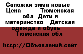 Сапожки зима новые › Цена ­ 750 - Тюменская обл. Дети и материнство » Детская одежда и обувь   . Тюменская обл.